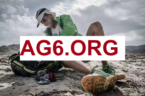 英超第25轮纽卡斯尔联vs布伦特福德全场比赛录像回放2026年2月8日